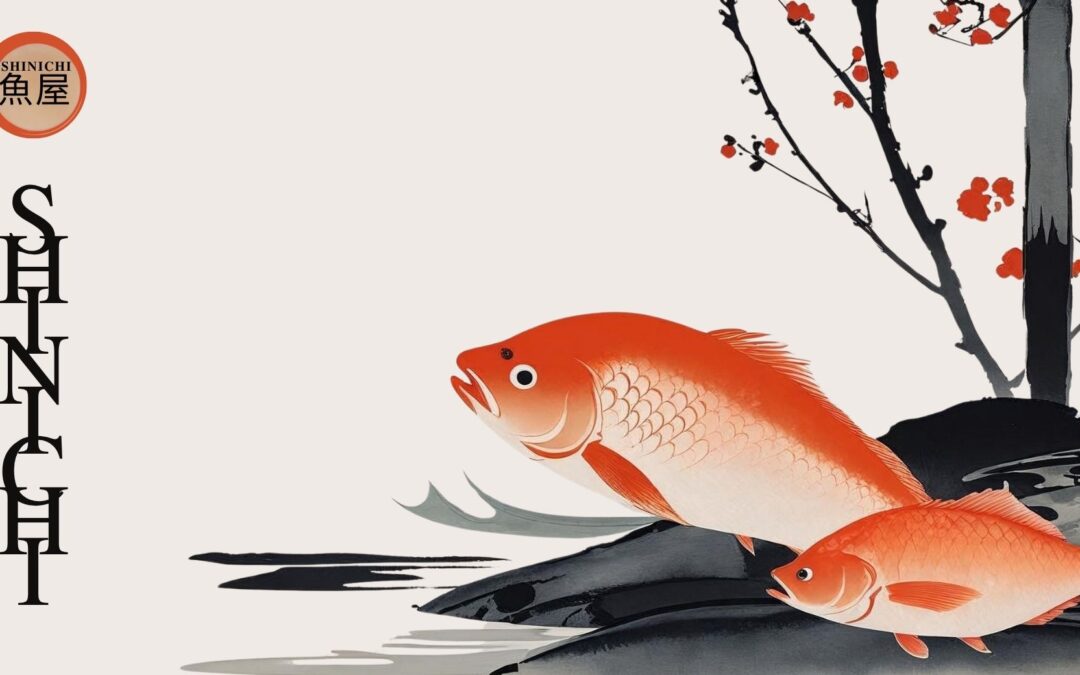 Sinichi, a paris, la pêche bretonne façon niponne