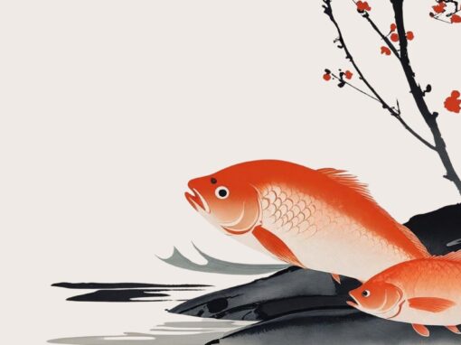Sinichi, a paris, la pêche bretonne façon niponne