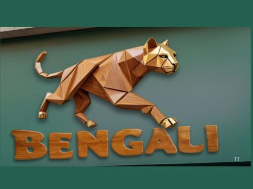 Bengali, une enseigne qui sort les griffes et assure